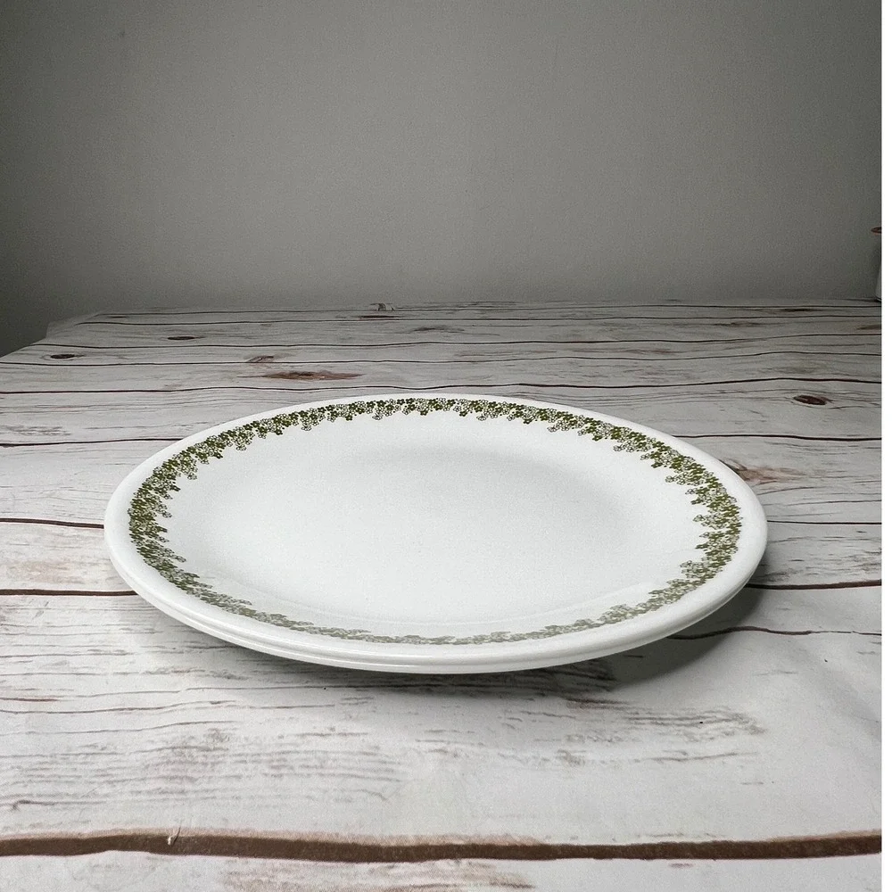 VTG Corelle Dinner Plates Spring Blossom Green Crazy Daisy 10.25